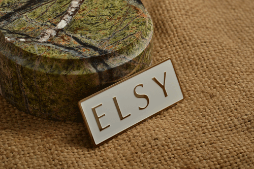 Бейдж Elsy