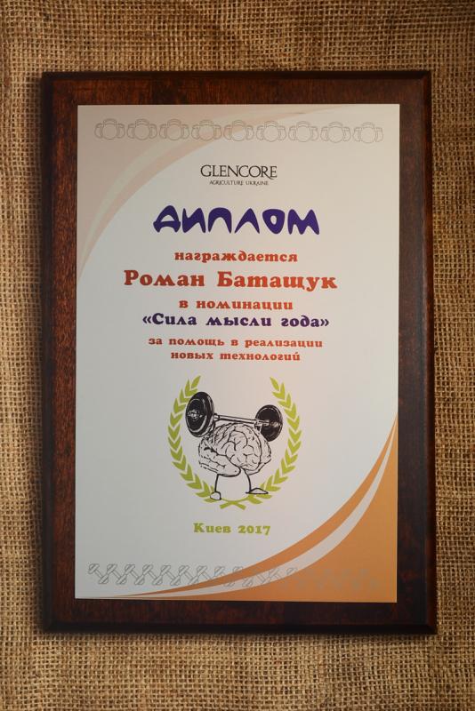 Диплом Glencore